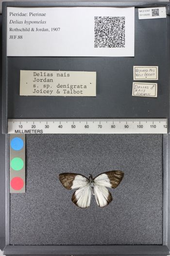 Media type: image;   Entomology 128285